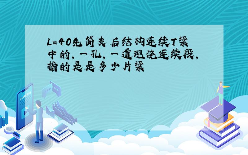 L=40先简支后结构连续T梁中的,一孔,一道现浇连续段,指的是是多少片梁