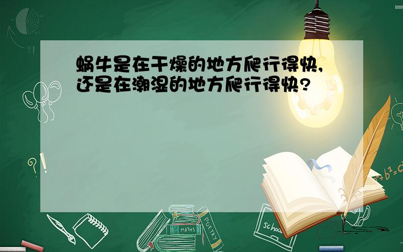 蜗牛是在干燥的地方爬行得快,还是在潮湿的地方爬行得快?