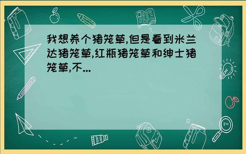 我想养个猪笼草,但是看到米兰达猪笼草,红瓶猪笼草和绅士猪笼草,不...