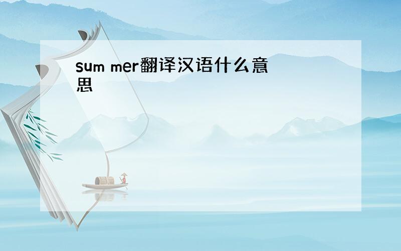 sum mer翻译汉语什么意思