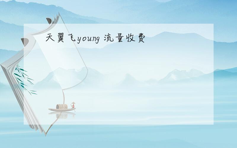 天翼飞young 流量收费