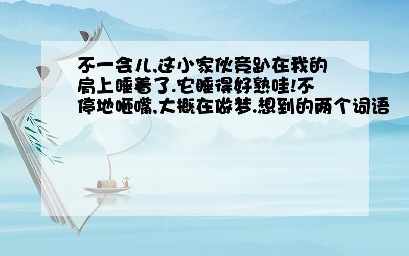 不一会儿,这小家伙竞趴在我的肩上睡着了.它睡得好熟哇!不停地咂嘴,大概在做梦.想到的两个词语