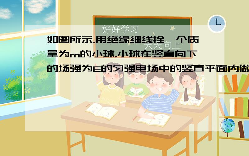 如图所示，用绝缘细线拴一个质量为m的小球，小球在竖直向下的场强为E的匀强电场中的竖直平面内做匀速圆周运动，则小球带 __