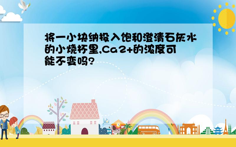 将一小块纳投入饱和澄清石灰水的小烧杯里,Ca2+的浓度可能不变吗?