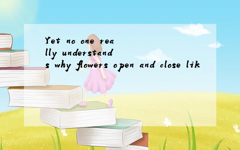 Yet no one really understands why flowers open and close lik