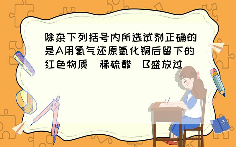 除杂下列括号内所选试剂正确的是A用氢气还原氧化铜后留下的红色物质（稀硫酸）B盛放过