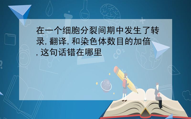 在一个细胞分裂间期中发生了转录,翻译,和染色体数目的加倍,这句话错在哪里