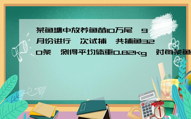 某鱼塘中放养鱼苗10万尾,9月份进行一次试捕,共捕鱼320条,测得平均体重0.82kg,对每条鱼作好