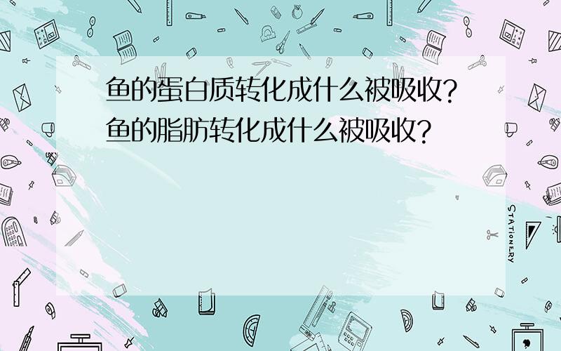 鱼的蛋白质转化成什么被吸收?鱼的脂肪转化成什么被吸收?