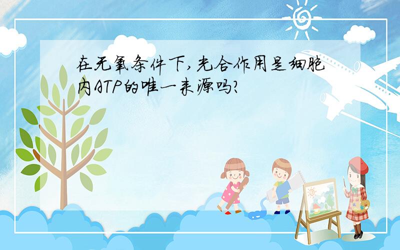 在无氧条件下,光合作用是细胞内ATP的唯一来源吗?