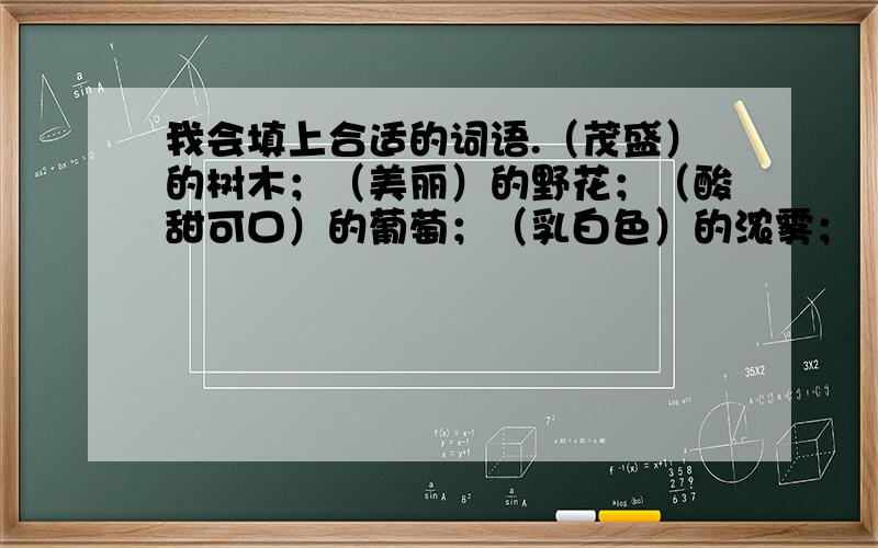 我会填上合适的词语.（茂盛）的树木；（美丽）的野花；（酸甜可口）的葡萄；（乳白色）的浓雾；