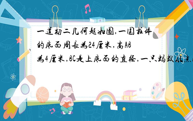 一道初二几何题如图,一圆柱体的底面周长为24厘米,高AB为4厘米,BC是上底面的直径,一只蚂蚁从点A出发,沿着圆柱的侧面