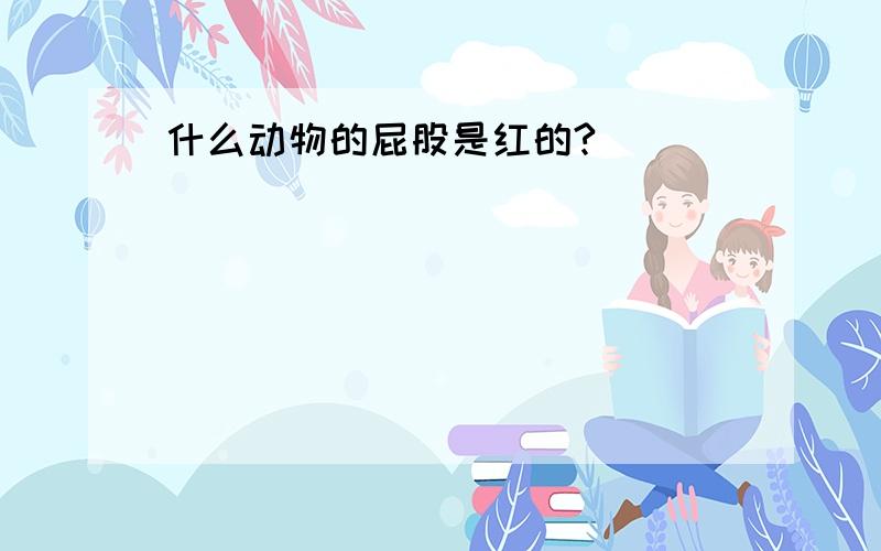 什么动物的屁股是红的?