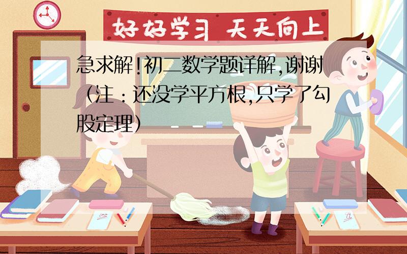 急求解!初二数学题详解,谢谢（注：还没学平方根,只学了勾股定理）