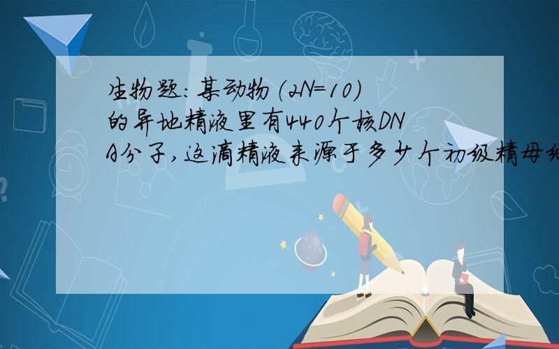 生物题：某动物（2N=10）的异地精液里有440个核DNA分子,这滴精液来源于多少个初级精母细胞?