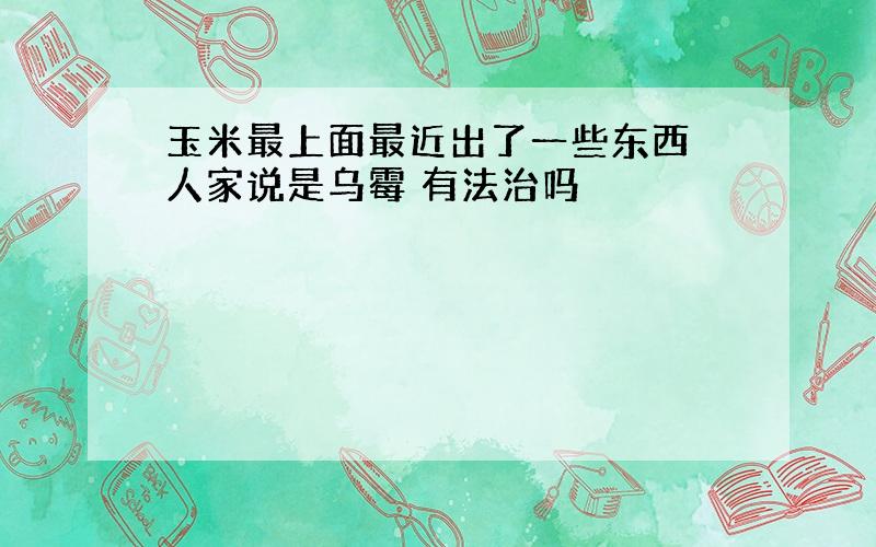 玉米最上面最近出了一些东西 人家说是乌霉 有法治吗