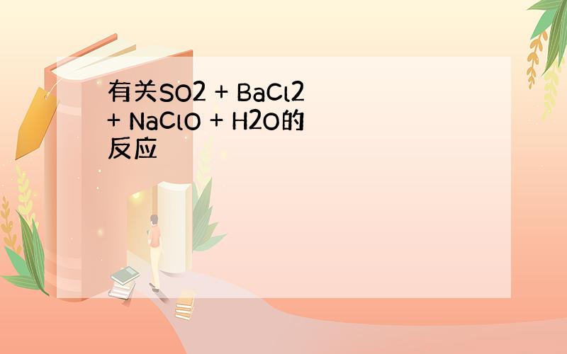 有关SO2 + BaCl2 + NaClO + H2O的反应