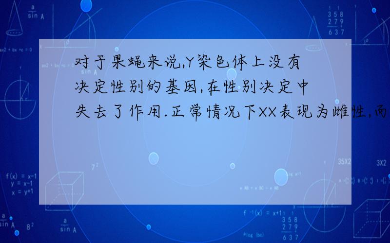 对于果蝇来说,Y染色体上没有决定性别的基因,在性别决定中失去了作用.正常情况下XX表现为雌性,而XY表现为雄性.染色体异