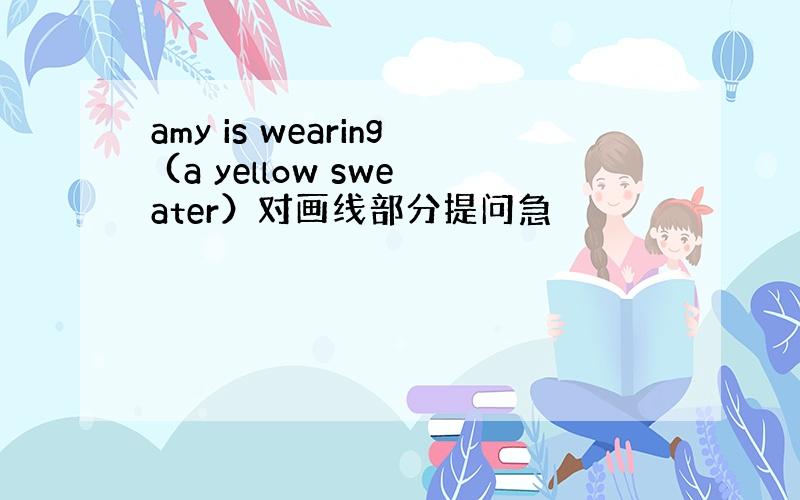 amy is wearing (a yellow sweater）对画线部分提问急