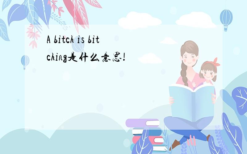 A bitch is bitching是什么意思!