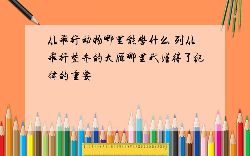 从飞行动物哪里能学什么 列从飞行整齐的大雁哪里我懂得了纪律的重要