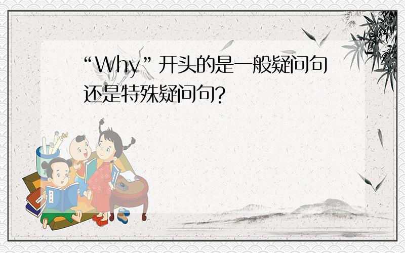 “Why”开头的是一般疑问句 还是特殊疑问句?