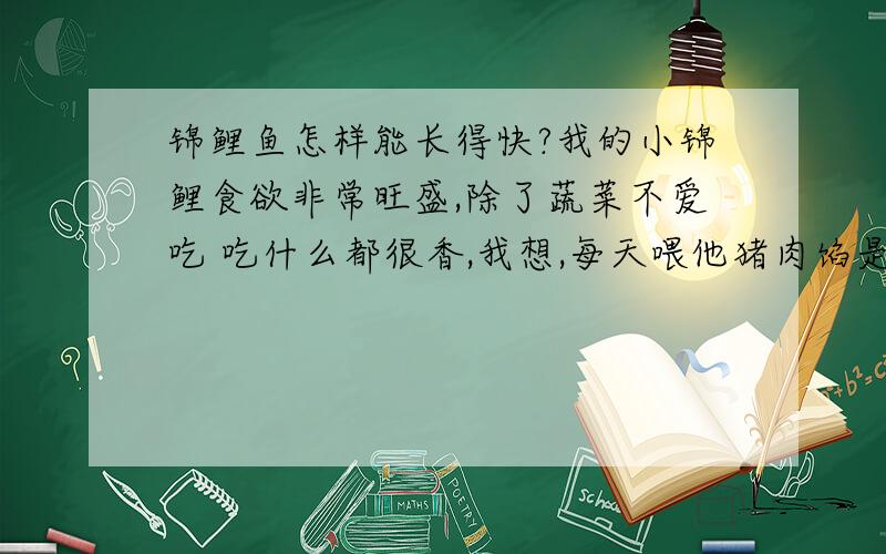 锦鲤鱼怎样能长得快?我的小锦鲤食欲非常旺盛,除了蔬菜不爱吃 吃什么都很香,我想,每天喂他猪肉馅是否能长得快点