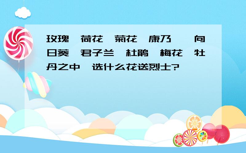 玫瑰、荷花、菊花、康乃馨、向日葵、君子兰、杜鹃、梅花、牡丹之中,选什么花送烈士?