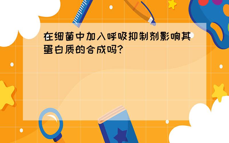 在细菌中加入呼吸抑制剂影响其蛋白质的合成吗?