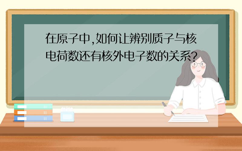 在原子中,如何让辨别质子与核电荷数还有核外电子数的关系?