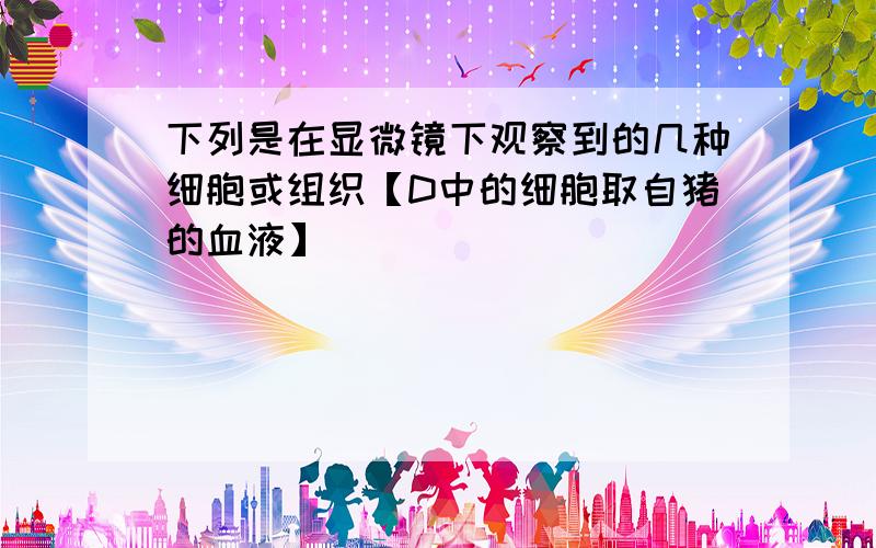 下列是在显微镜下观察到的几种细胞或组织【D中的细胞取自猪的血液】