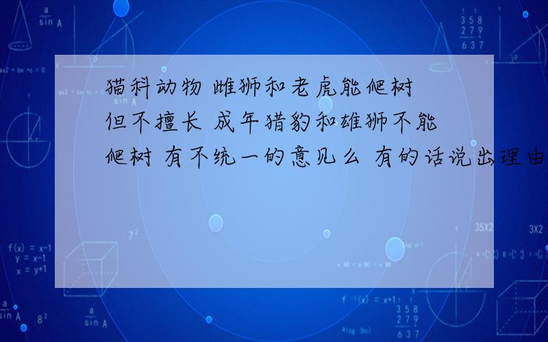 猫科动物 雌狮和老虎能爬树 但不擅长 成年猎豹和雄狮不能爬树 有不统一的意见么 有的话说出理由