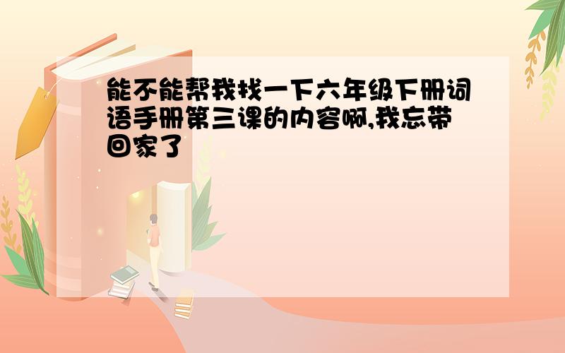 能不能帮我找一下六年级下册词语手册第三课的内容啊,我忘带回家了