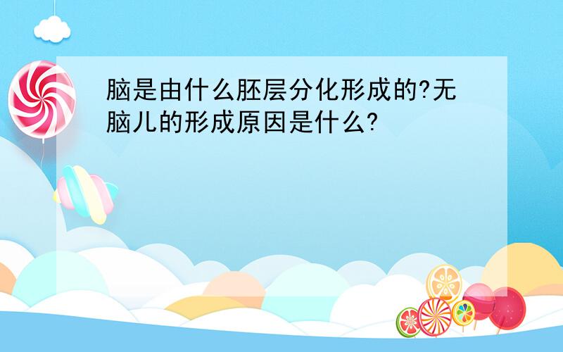 脑是由什么胚层分化形成的?无脑儿的形成原因是什么?