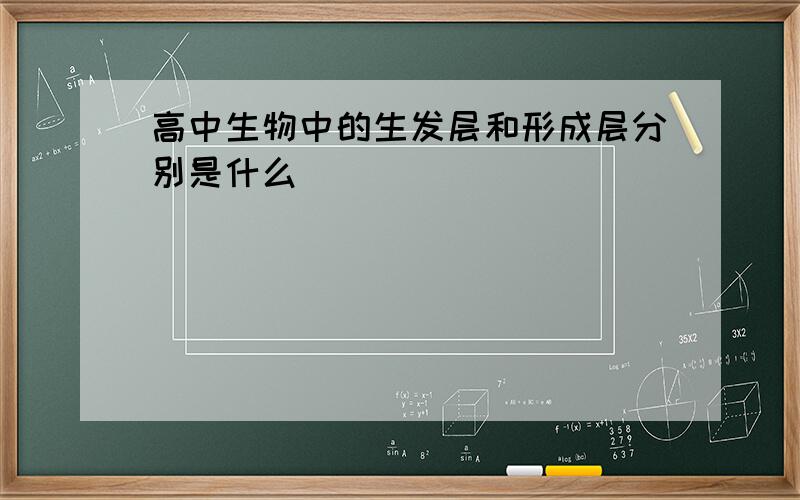 高中生物中的生发层和形成层分别是什么