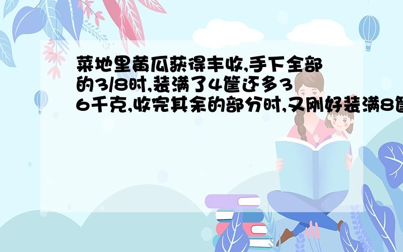 菜地里黄瓜获得丰收,手下全部的3/8时,装满了4筐还多36千克,收完其余的部分时,又刚好装满8筐,