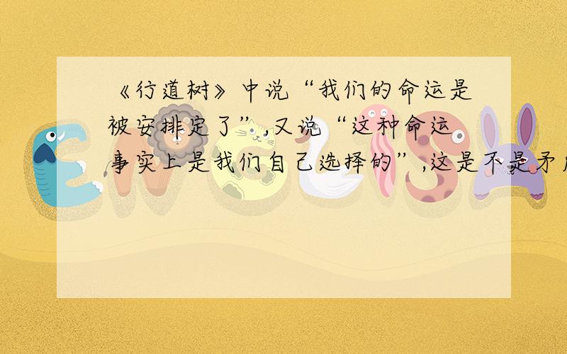 《行道树》中说“我们的命运是被安排定了”,又说“这种命运事实上是我们自己选择的”,这是不是矛盾?应该如何理解?