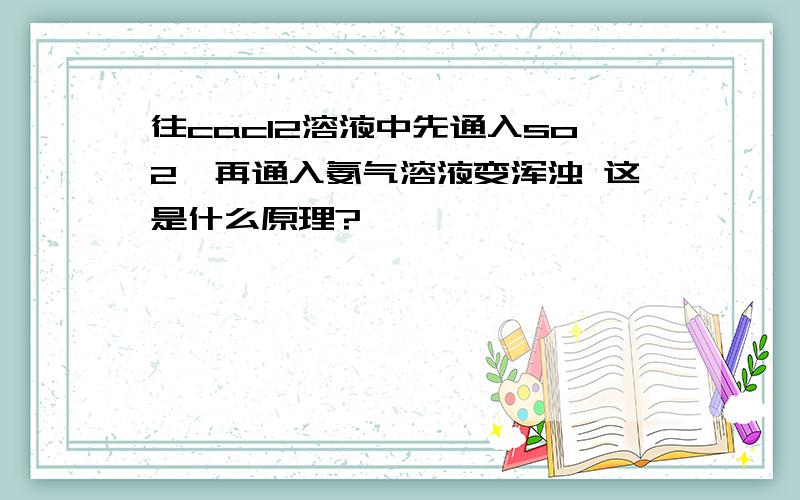 往cacl2溶液中先通入so2,再通入氨气溶液变浑浊 这是什么原理?