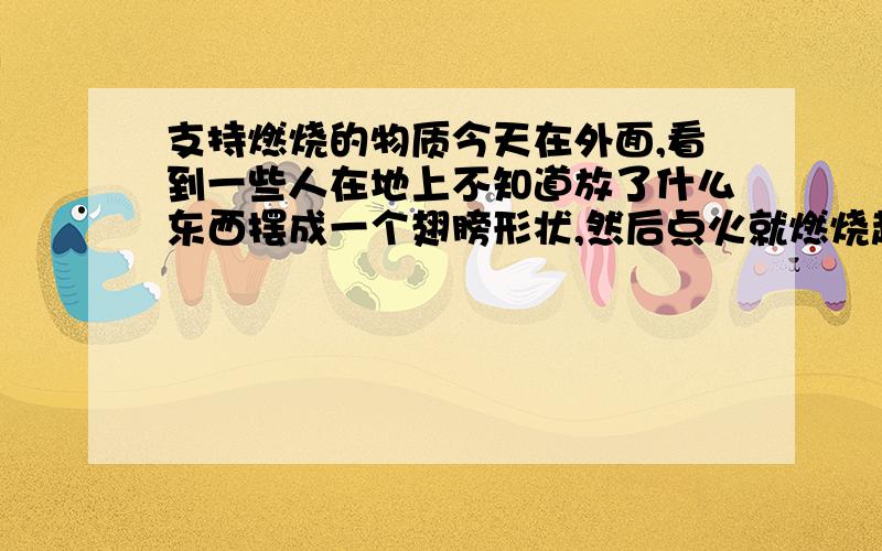 支持燃烧的物质今天在外面,看到一些人在地上不知道放了什么东西摆成一个翅膀形状,然后点火就燃烧起来了!很漂亮的!请问燃烧的