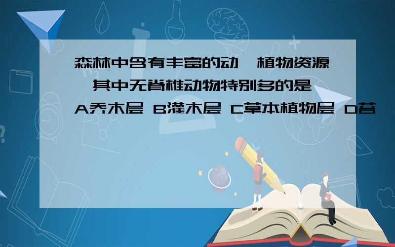 森林中含有丰富的动、植物资源,其中无脊椎动物特别多的是 A乔木层 B灌木层 C草本植物层 D苔藓、地衣层