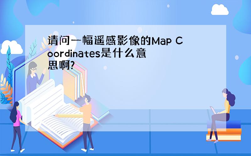 请问一幅遥感影像的Map Coordinates是什么意思啊?