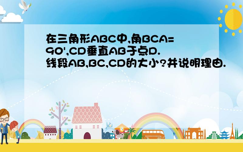 在三角形ABC中,角BCA=90',CD垂直AB于点D.线段AB,BC,CD的大小?并说明理由.