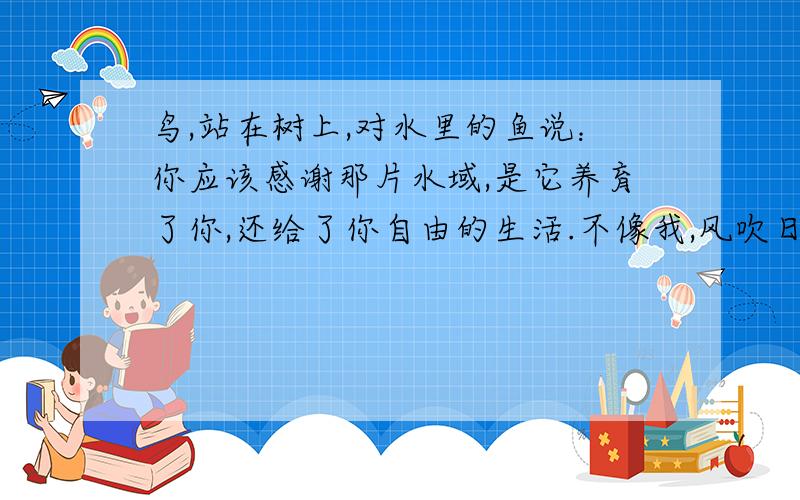 鸟,站在树上,对水里的鱼说：你应该感谢那片水域,是它养育了你,还给了你自由的生活.不像我,风吹日晒