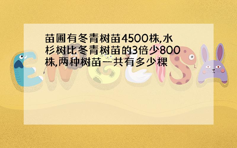 苗圃有冬青树苗4500株,水杉树比冬青树苗的3倍少800株,两种树苗一共有多少棵