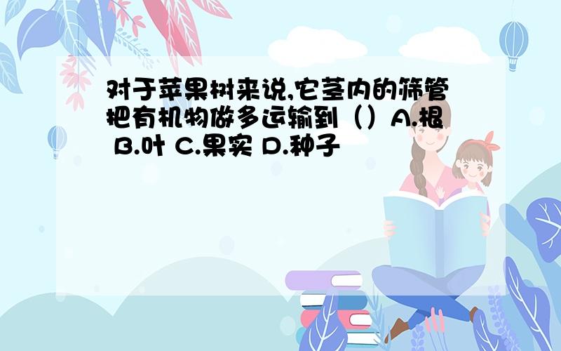 对于苹果树来说,它茎内的筛管把有机物做多运输到（）A.根 B.叶 C.果实 D.种子