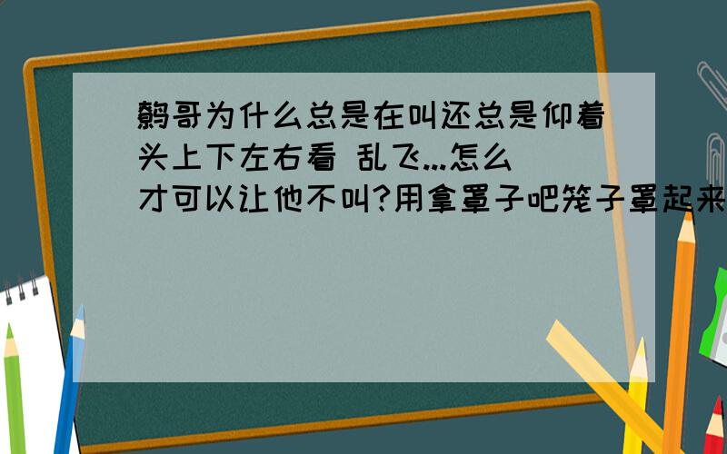 鹩哥为什么总是在叫还总是仰着头上下左右看 乱飞...怎么才可以让他不叫?用拿罩子吧笼子罩起来了么?