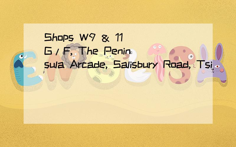 Shops W9 & 11 G/F, The Peninsula Arcade, Salisbury Road, Tsi