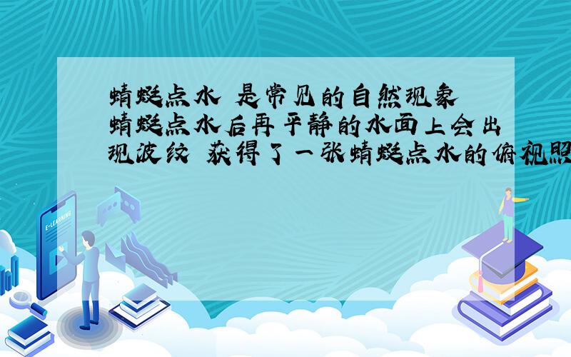 蜻蜓点水 是常见的自然现象 蜻蜓点水后再平静的水面上会出现波纹 获得了一张蜻蜓点水的俯视照片,照片反映