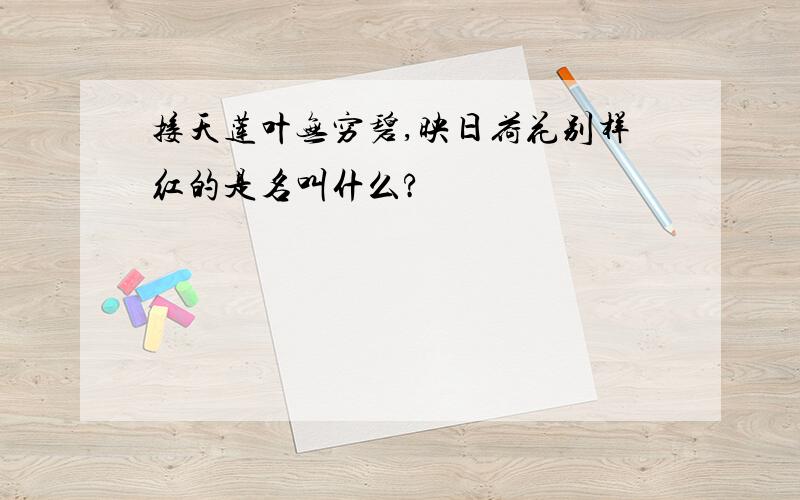 接天莲叶无穷碧,映日荷花别样红的是名叫什么?