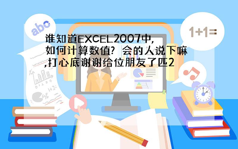 谁知道EXCEL2007中,如何计算数值?　会的人说下嘛,打心底谢谢给位朋友了匹2